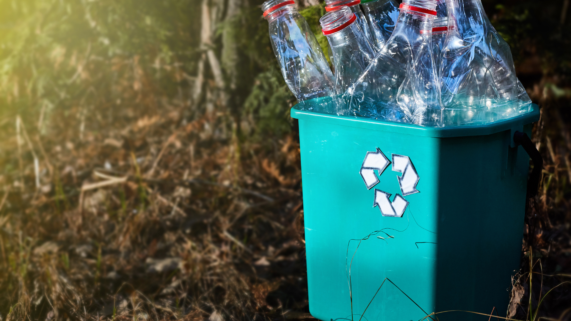 zero-waste