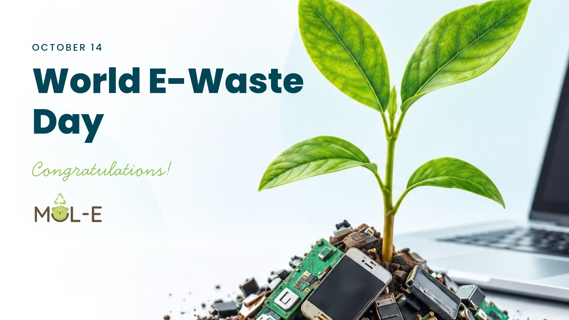 International Electronic Waste Day